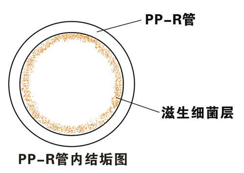 PP-R滲氧，易滋生細菌（jun1），有異（yì）味（wèi）；腐蝕（shí）金屬連接件，降（jiàng）低使用壽命（mìng）